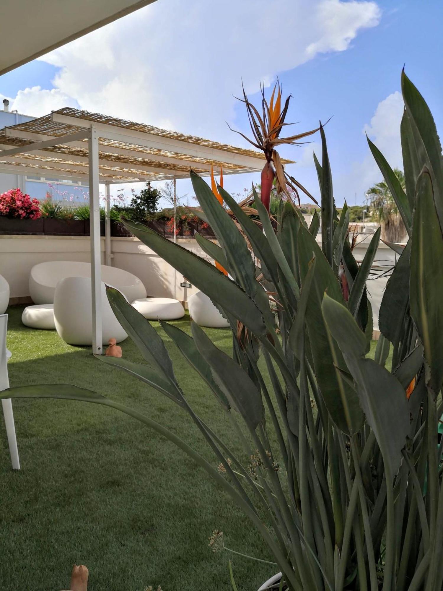 לינה וארוחת בוקר גאליפולי La Casa Del Turista מראה חיצוני תמונה